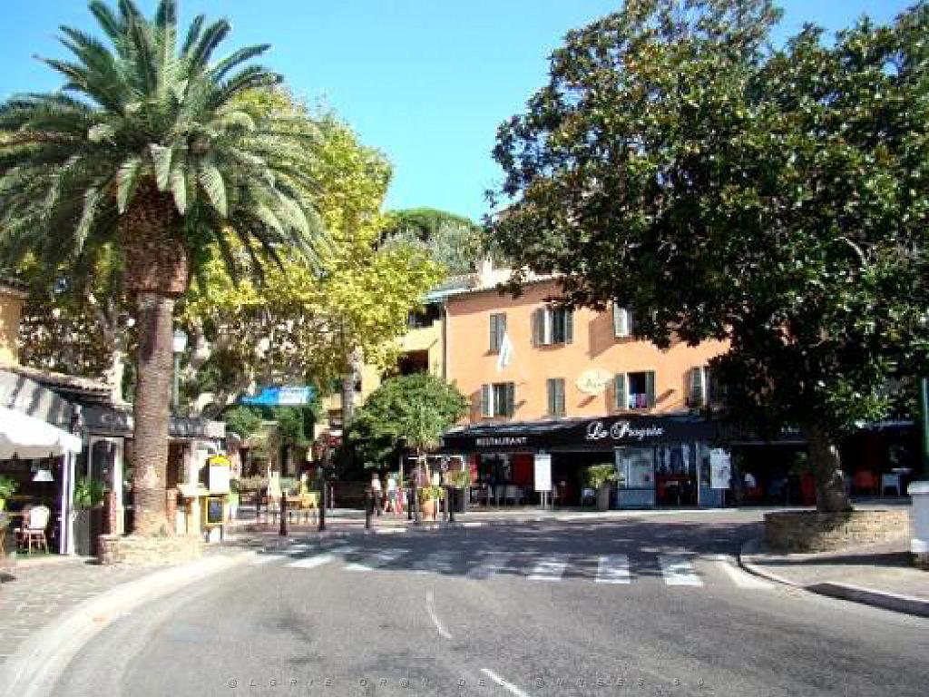 183 D23 BORMES LES MIMOSAS 1_000045.jpg